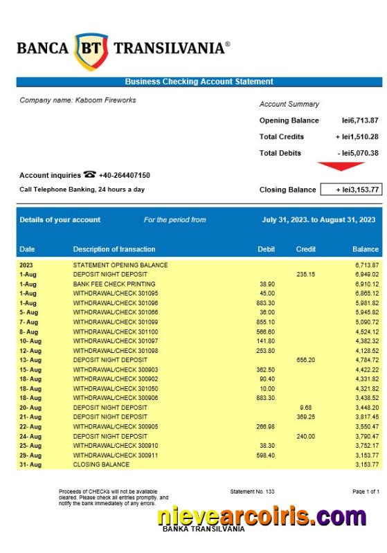 Banca Transilvania company account statement
